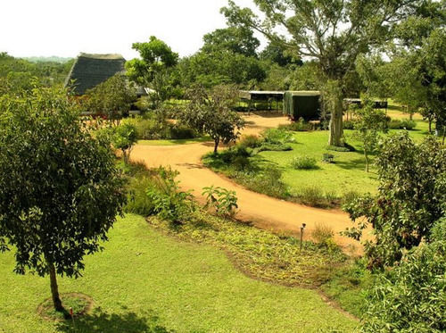 Barefoot Safari Lodge リロングウェ エクステリア 写真